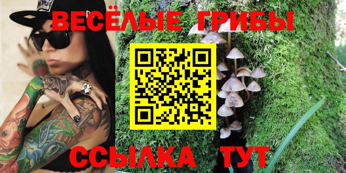 Псилоцибиновые грибы ЛСД Нерюнгри