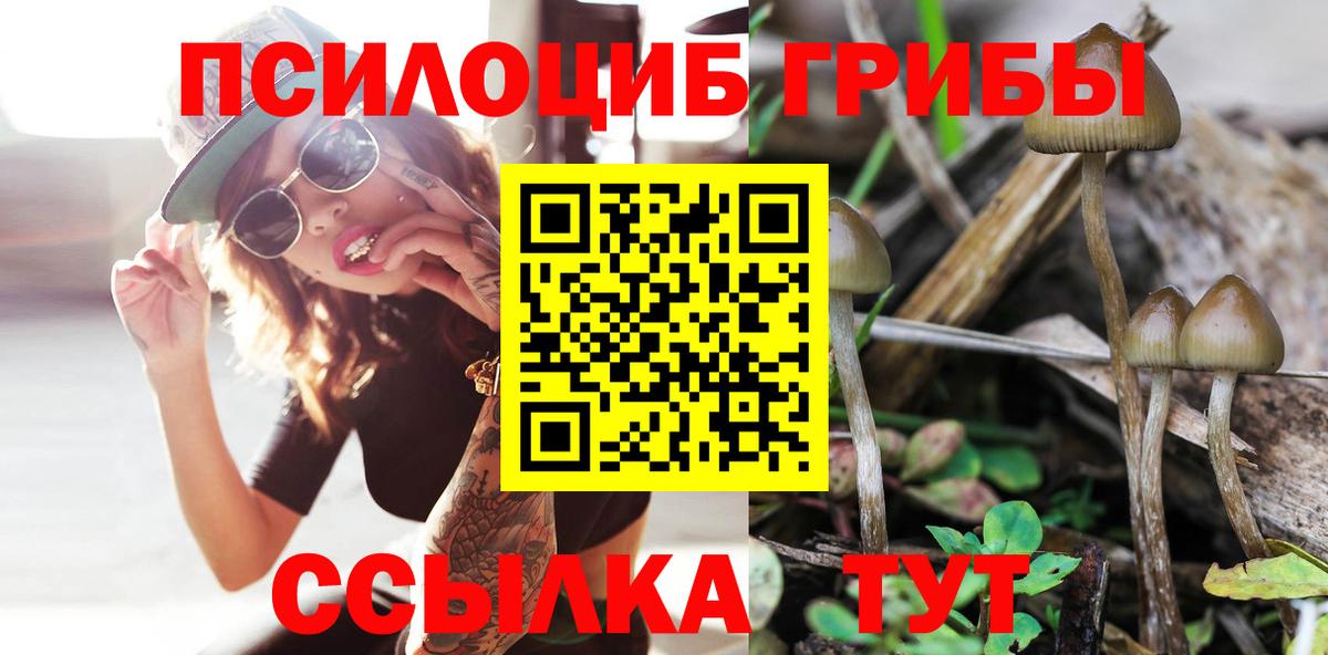 Псилоцибиновые грибы GOLDEN TEACHER  Вход с VPN  Нерюнгри 
